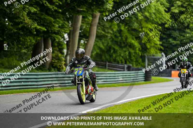 cadwell no limits trackday;cadwell park;cadwell park photographs;cadwell trackday photographs;enduro digital images;event digital images;eventdigitalimages;no limits trackdays;peter wileman photography;racing digital images;trackday digital images;trackday photos